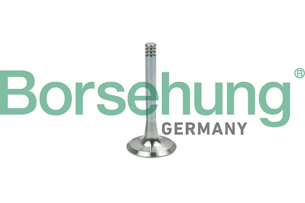 Borsehung B19002 Exhaust Valve