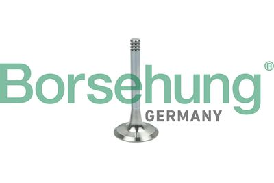 Exhaust Valve Borsehung B19002
