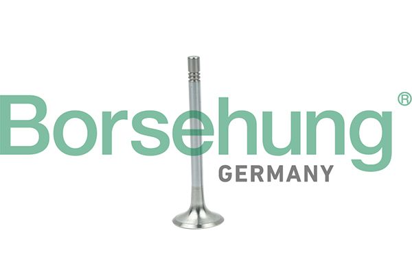 Borsehung B19004 Exhaust Valve