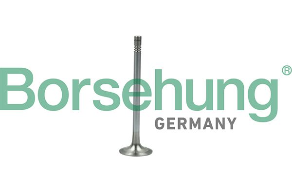 Borsehung B19007 Exhaust Valve