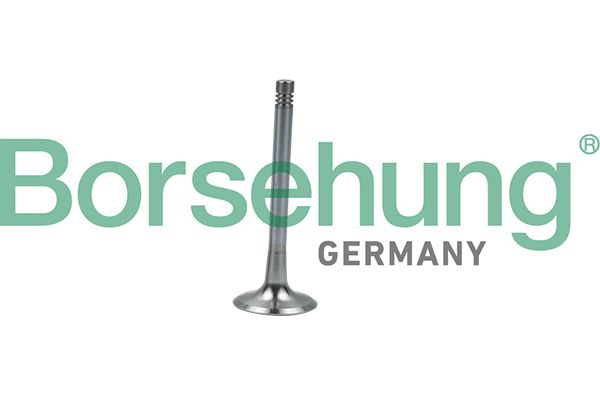 Borsehung B19008 Exhaust Valve