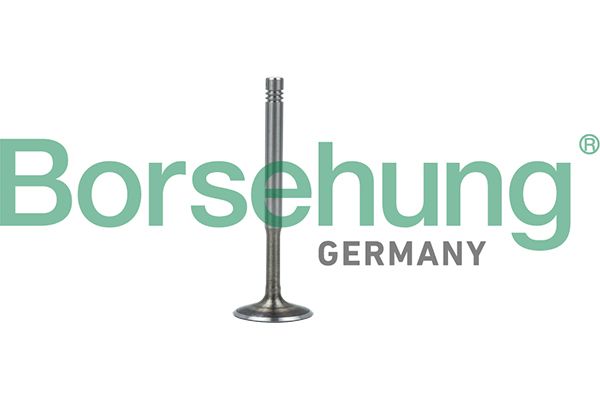 Borsehung B19010 Exhaust Valve