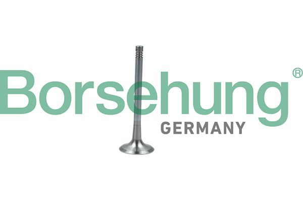 Borsehung B19011 Exhaust Valve