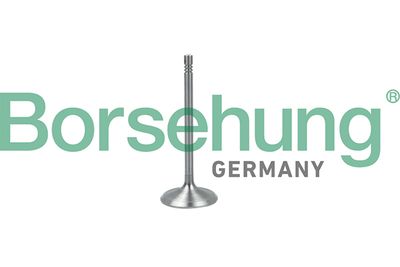Intake Valve Borsehung B19017