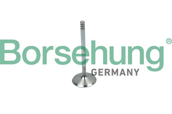 Borsehung B19018 Intake Valve