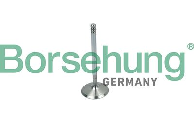 Intake Valve Borsehung B19018