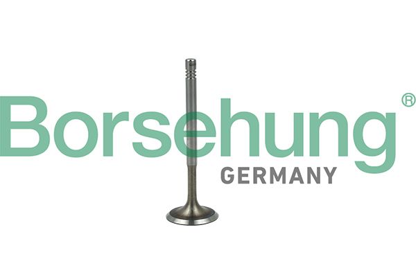 Borsehung B19019 Intake Valve