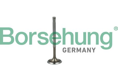 Intake Valve Borsehung B19019