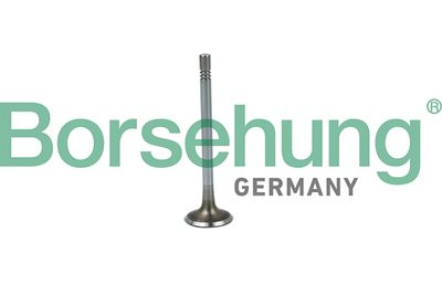 Intake Valve Borsehung B19020