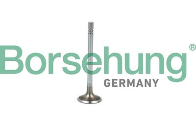 Intake Valve Borsehung B19021