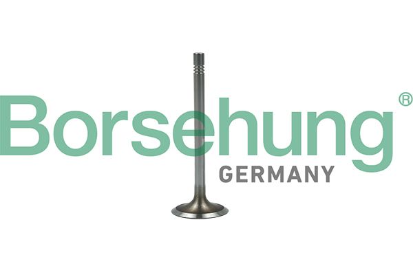 Borsehung B19022 Intake Valve