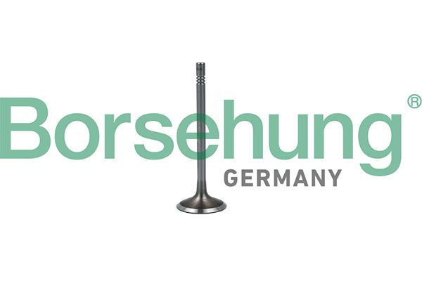 Borsehung B19023 Intake Valve