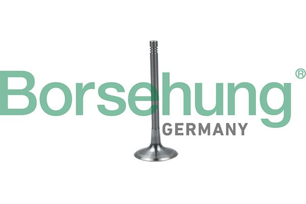 Borsehung B19024 Intake Valve