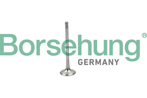 Borsehung B19025 Intake Valve