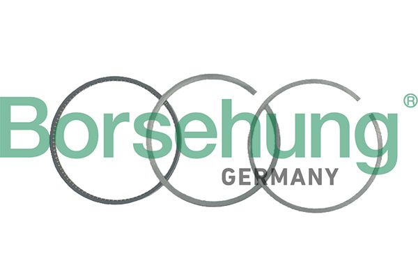 Borsehung B19042 Piston Ring Kit