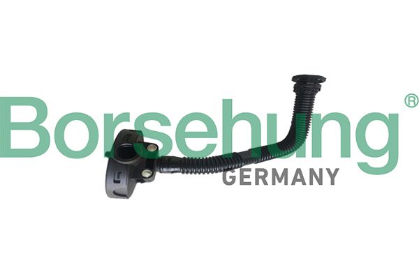Borsehung B19055 Valve, crankcase ventilation