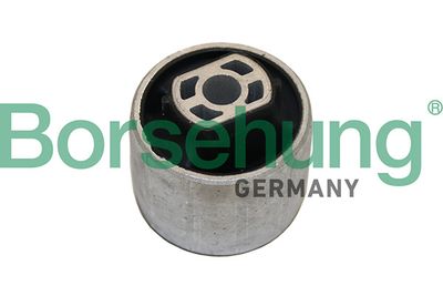 Mounting, control/trailing arm Borsehung B19064