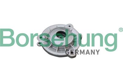 Suspension Strut Support Mount Borsehung B19075