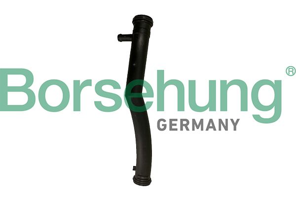 Borsehung B19082 Coolant Pipe