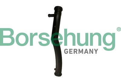 Coolant Pipe Borsehung B19082
