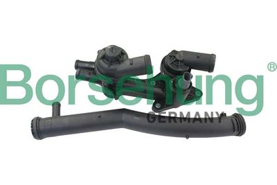Thermostat, coolant Borsehung B19086