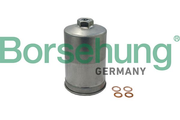 Borsehung B19091 Fuel Filter