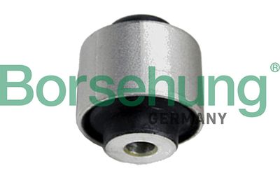Mounting, control/trailing arm Borsehung B19111