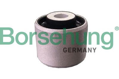 Mounting, control/trailing arm Borsehung B19112