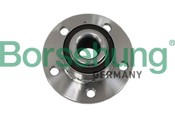 Borsehung B19117 Wheel Bearing Kit