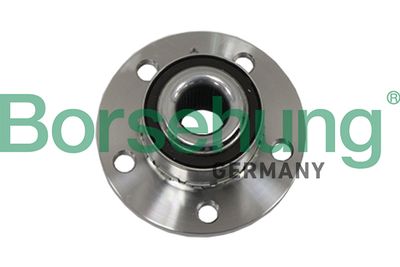 Wheel Bearing Kit Borsehung B19117