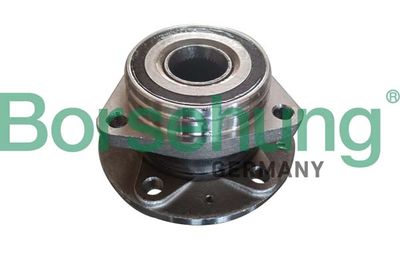 Wheel Bearing Kit Borsehung B19118