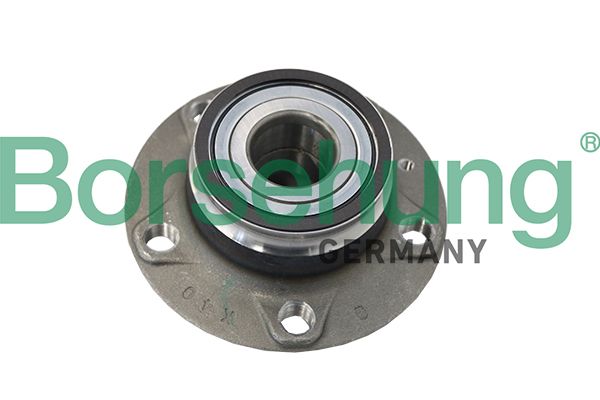 Borsehung B19119 Wheel Bearing Kit