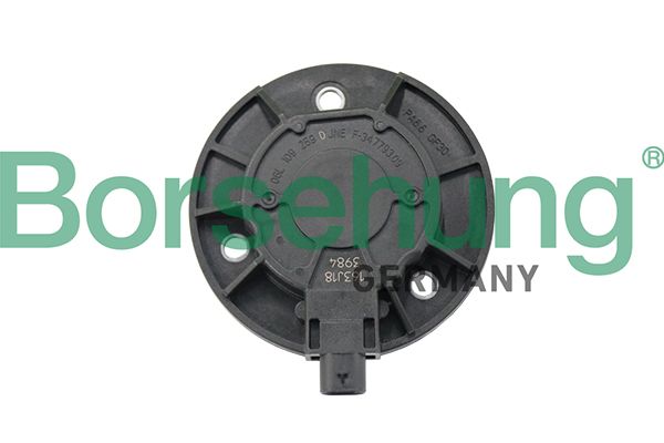 Borsehung B19124 Central Magnet, camshaft adjustment