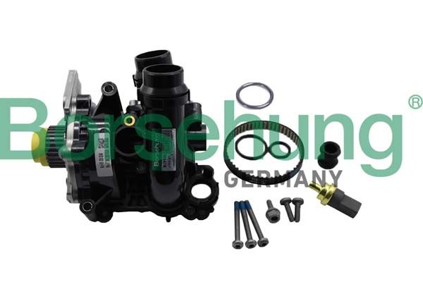 Borsehung B19130 Water Pump, engine cooling
