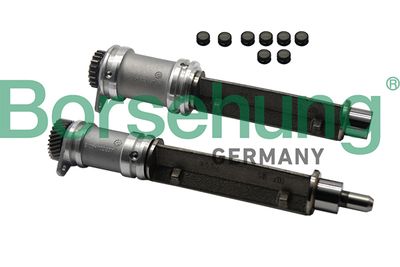 Lock Mandrel, balancer shaft Borsehung B19131