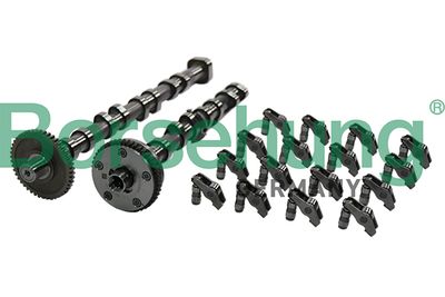 Camshaft Kit Borsehung B19173
