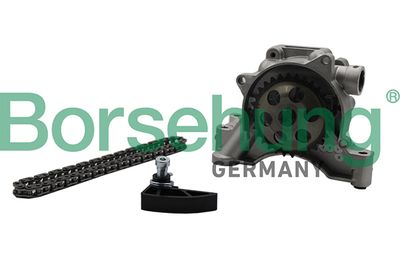 Chain Kit, oil pump drive Borsehung B19175