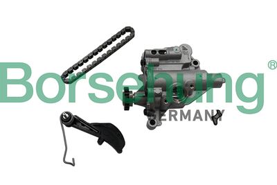 Chain Kit, oil pump drive Borsehung B19177