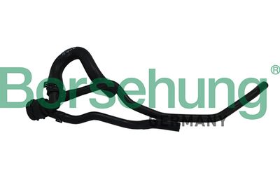 Coolant Pipe Borsehung B19180