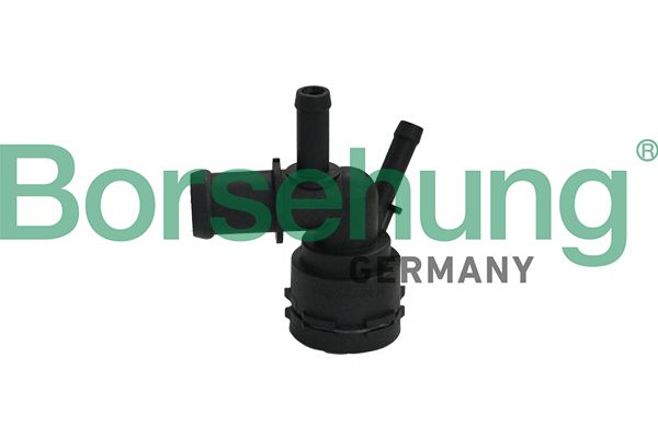 Borsehung B19181 Coolant Flange
