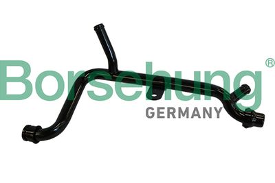 Coolant Pipe Borsehung B19212