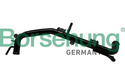 Coolant Pipe Borsehung B19213