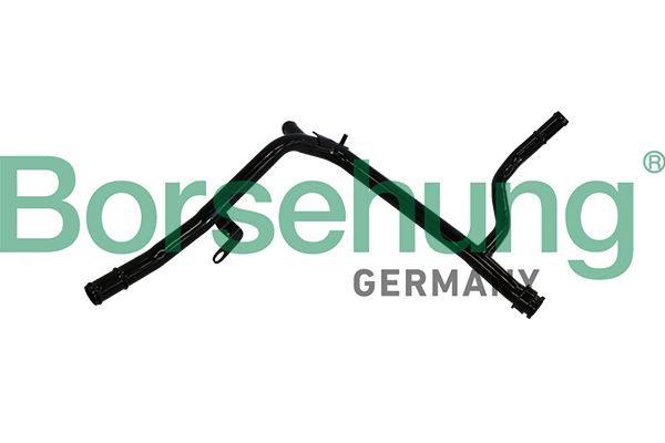 Borsehung B19216 Coolant Pipe