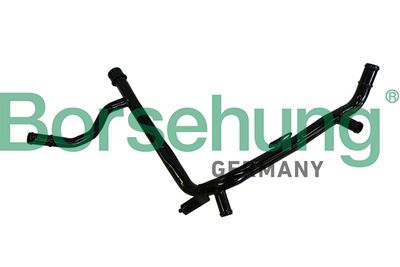 Coolant Pipe Borsehung B19217