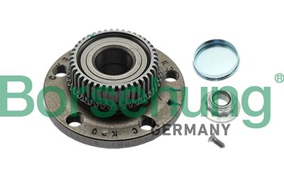 Wheel Bearing Kit Borsehung B19231