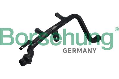 Coolant Pipe Borsehung B19263