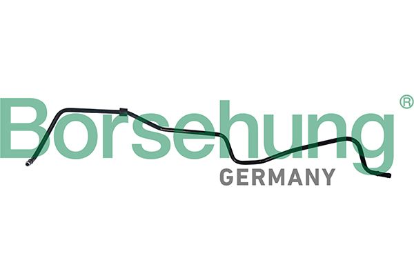 Borsehung B19264 Hose, crankcase ventilation