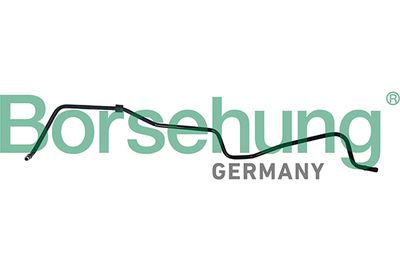 Hose, crankcase ventilation Borsehung B19264