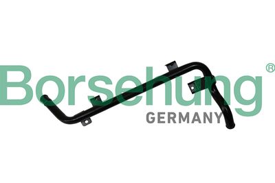 Hose, crankcase ventilation Borsehung B19266