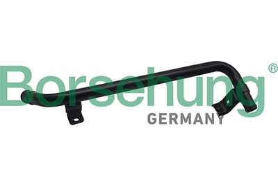 Hose, crankcase ventilation Borsehung B19267